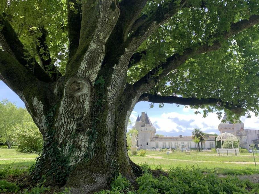 Chateau De Mornay Saint-Pierre-de-l'Isle Bagian luar foto